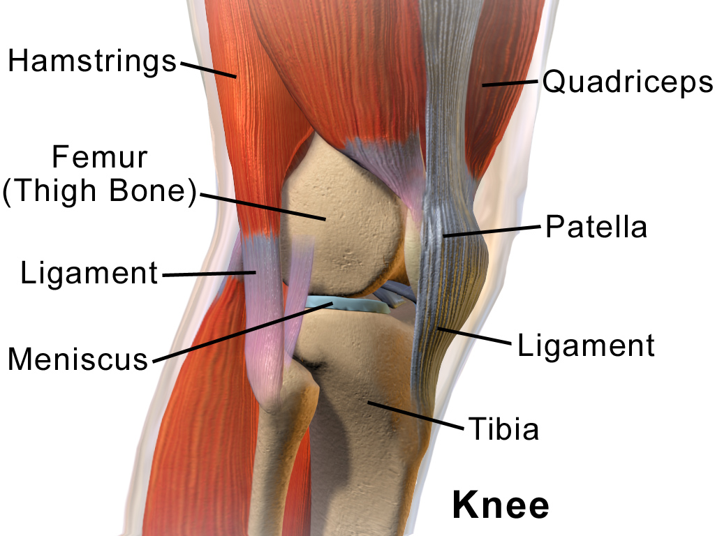 bol kolan rehabilitacja kolan rekonstrukcja acl krakow